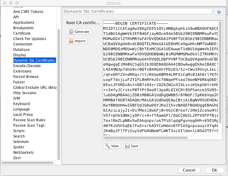 Part 19 - Passive Scan Rules in ZAP 